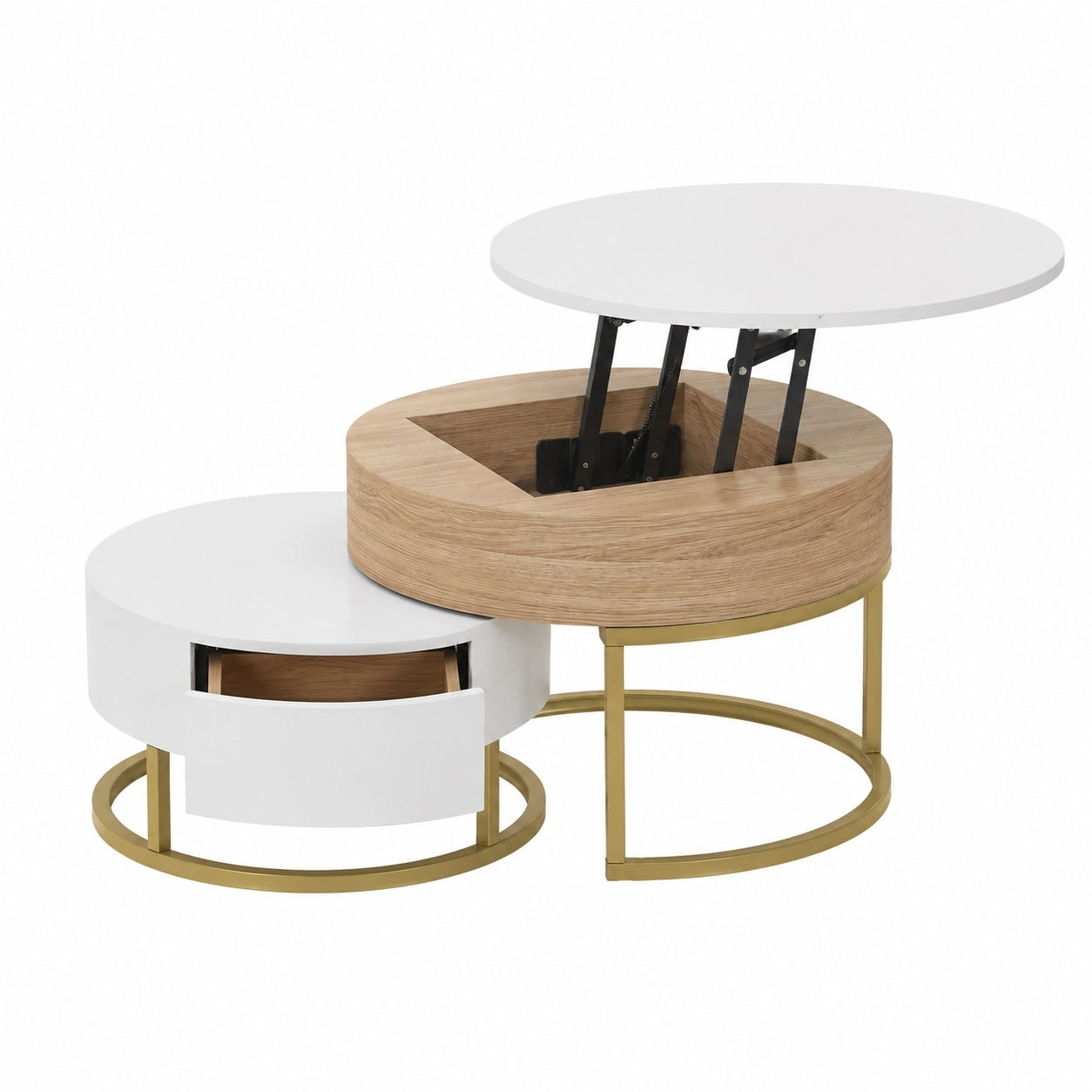 ensemble-de-2-tables-basses-rondes-avec-rangement-integre-bazcf11855wn